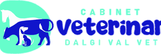 DalgiValVet